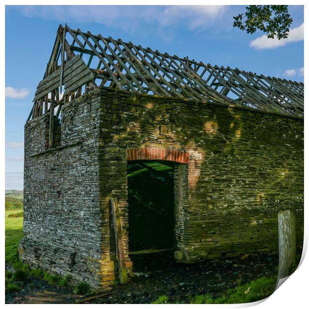 Old Barn Print by Dave Bell