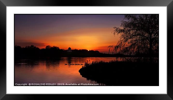 "Sundown across the park lake" Framed Mounted Print by ROS RIDLEY