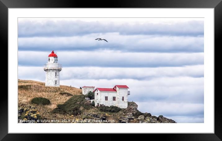 BY THE SEA Framed Mounted Print by Sylvia White