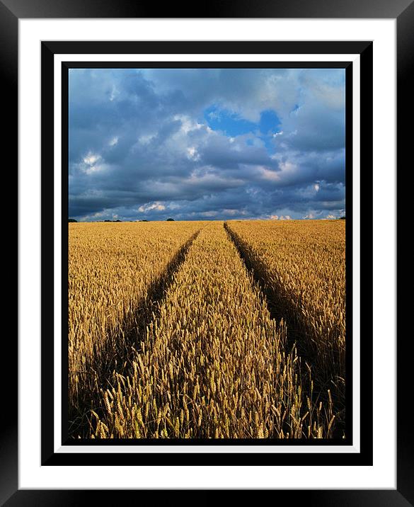 Lead the way Framed Mounted Print by Craig Coleran