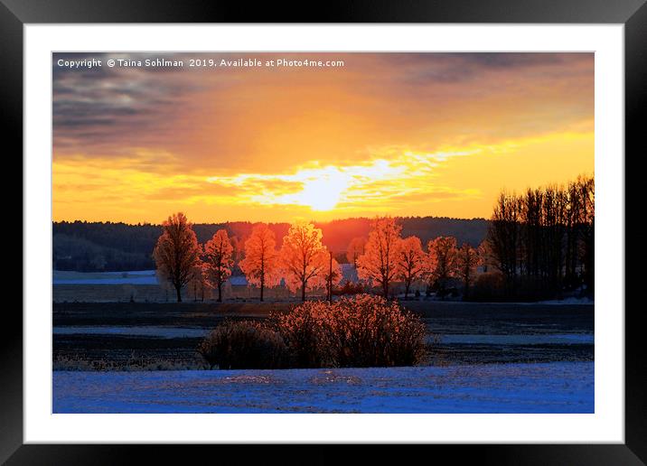 Colours of Winter Sunset Framed Mounted Print by Taina Sohlman