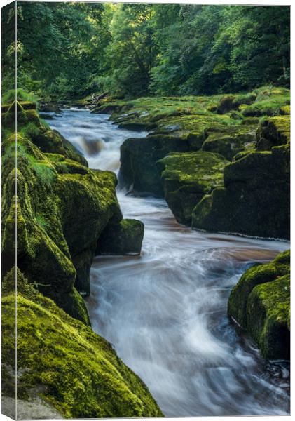 The Strid on River Wharfe Canvas Print by George Robertson