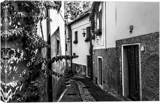 Limone Back Streets Mono Canvas Print by Steve Purnell