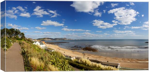 Lyme Regis beach from Langmoor  and Lister gardens Canvas Print by Maggie McCall