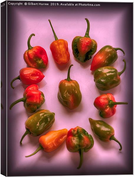 Hottest Chillies in The World Canvas Print by Gilbert Hurree