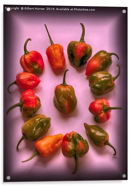 Hottest Chillies in The World Acrylic by Gilbert Hurree