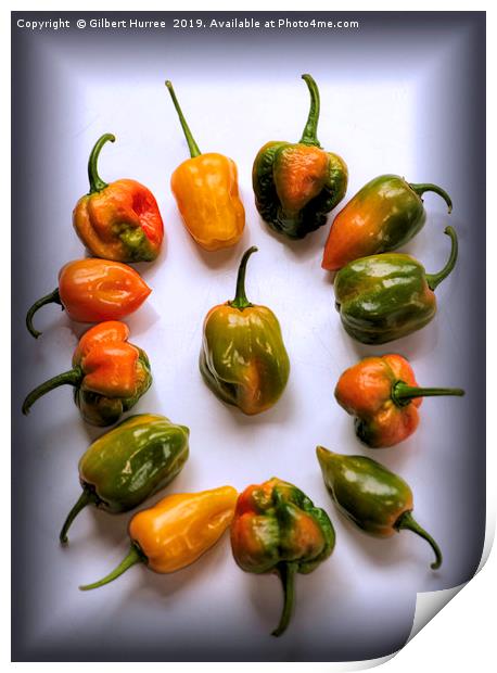 World's Hottest Chillies Print by Gilbert Hurree