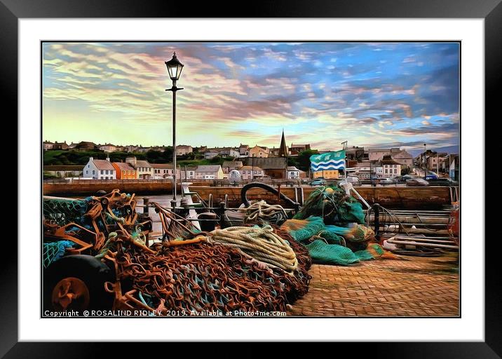 "Every picture tells a story" Framed Mounted Print by ROS RIDLEY