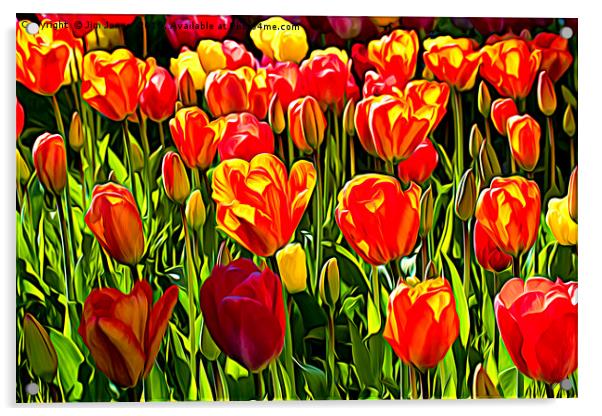 Red and Yellow Tulips Acrylic by Jim Jones