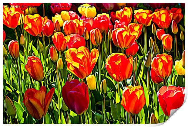 Red and Yellow Tulips Print by Jim Jones