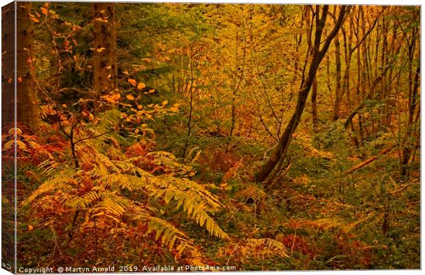 Autumn Woodland Colours Canvas Print by Martyn Arnold
