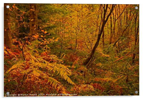 Autumn Woodland Colours Acrylic by Martyn Arnold