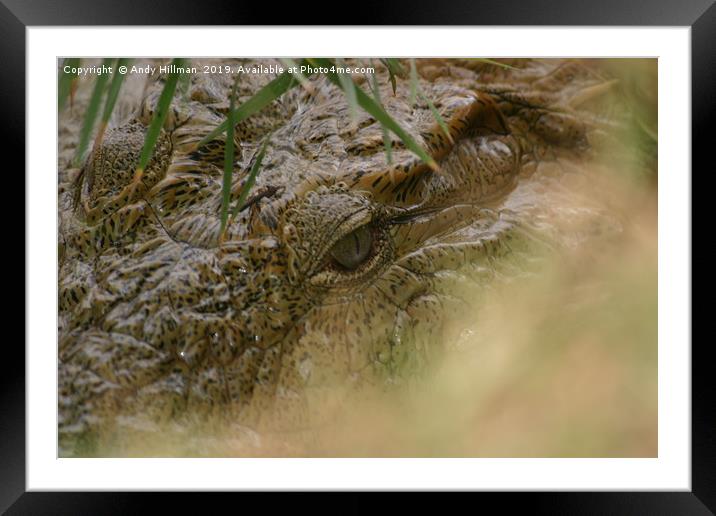 Eye of the crocodile Framed Mounted Print by Andy Hillman
