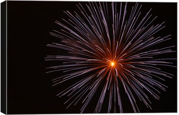 Firework Gillingham  fireworks, 2017 Canvas Print by zoe knight