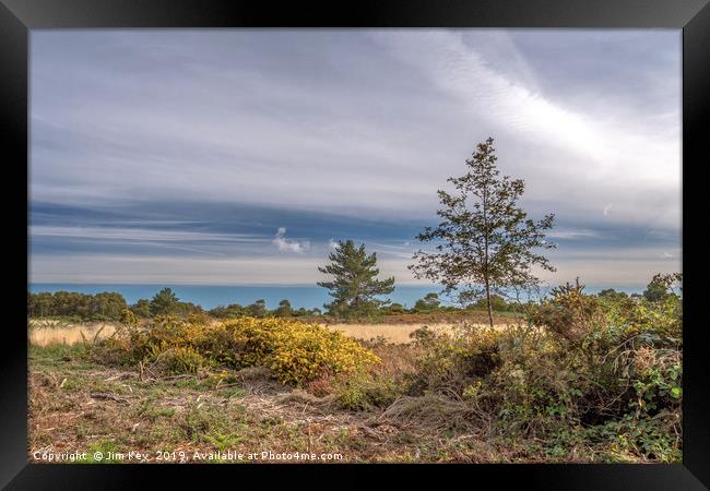 Kelling Heath Norfolk Framed Print by Jim Key