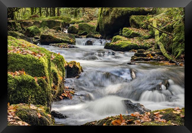 Golitha Falls.  Framed Print by Ian Taylor