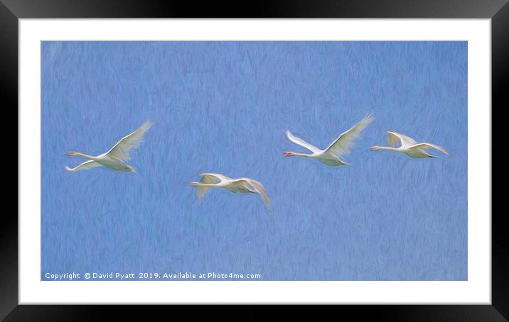 Flying Swans Art Panorama  Framed Mounted Print by David Pyatt