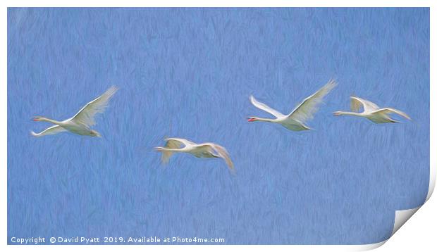 Flying Swans Art Panorama  Print by David Pyatt