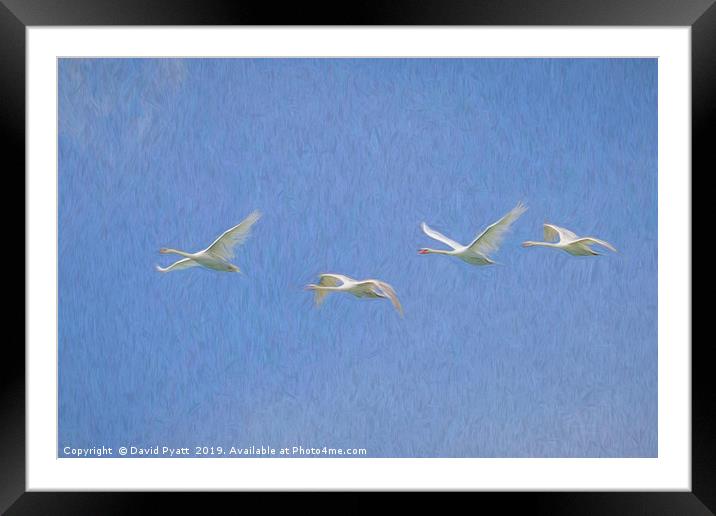 Flying Swans Art Framed Mounted Print by David Pyatt