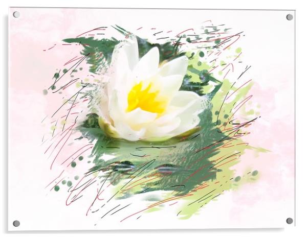 Water lily  Acrylic by Beryl Curran