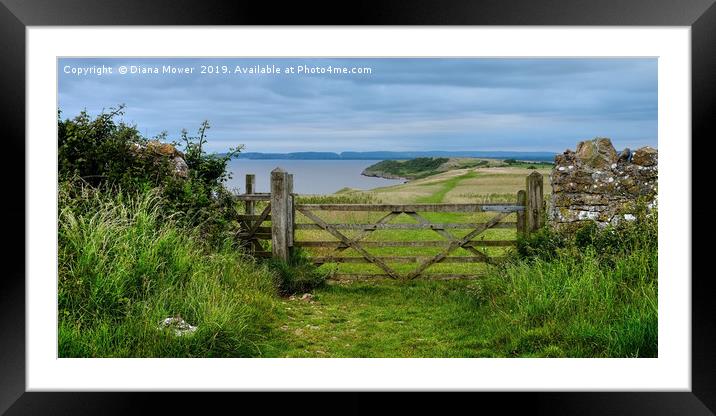 Sand Point to Middle Hope  Framed Mounted Print by Diana Mower