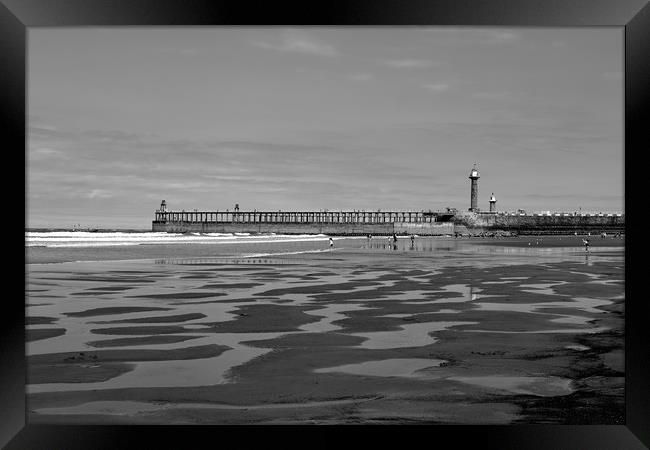 Whitby Pier and Tide Pools Framed Print by Dan Ward