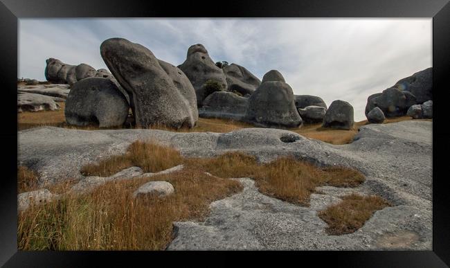 Castle Rocks, South Island, NZ Framed Print by Janet Mann