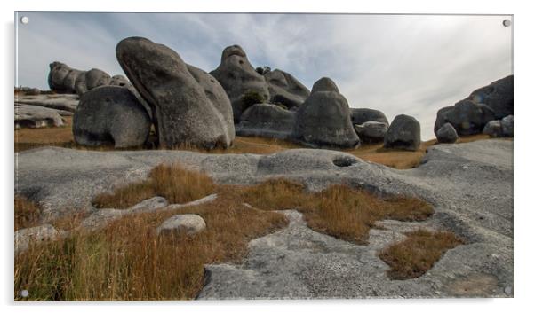 Castle Rocks, South Island, NZ Acrylic by Janet Mann