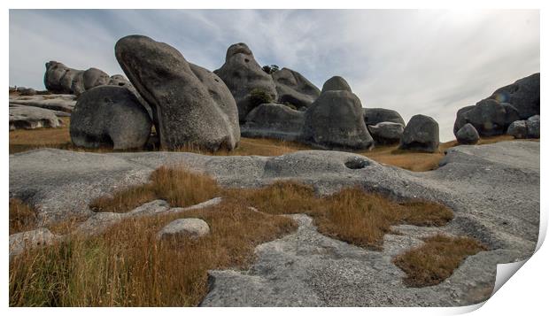 Castle Rocks, South Island, NZ Print by Janet Mann