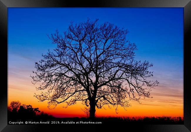 Sunset Tree Framed Print by Martyn Arnold