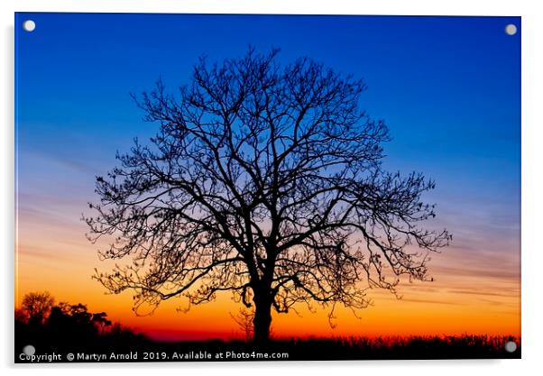 Sunset Tree Acrylic by Martyn Arnold