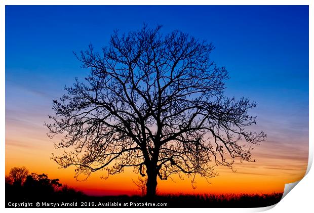 Sunset Tree Print by Martyn Arnold