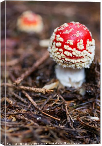 The Toadstool Canvas Print by Kasia Design