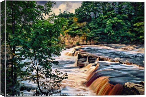 "Raging Torrent" Canvas Print by ROS RIDLEY