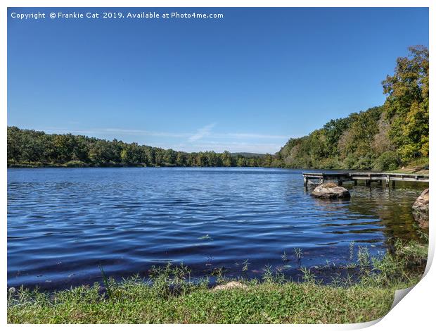 Shepherd Mountain Lake Print by Frankie Cat