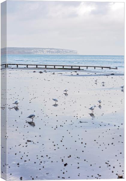 Shanklin, Isle of Wight Canvas Print by Graham Custance
