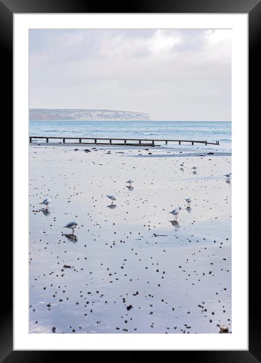 Shanklin, Isle of Wight Framed Mounted Print by Graham Custance