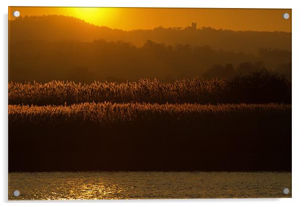 Sunset over the River Exe at Topsham Acrylic by Pete Hemington