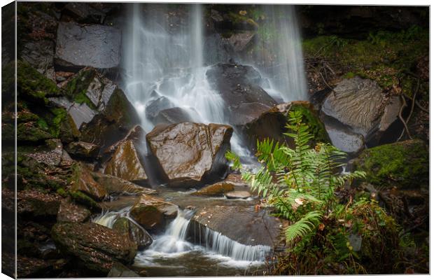Melincourt waterfall with fern in foreground. Canvas Print by Bryn Morgan