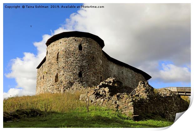 Medieval Raseborg Castle Ruins on a Rock Print by Taina Sohlman