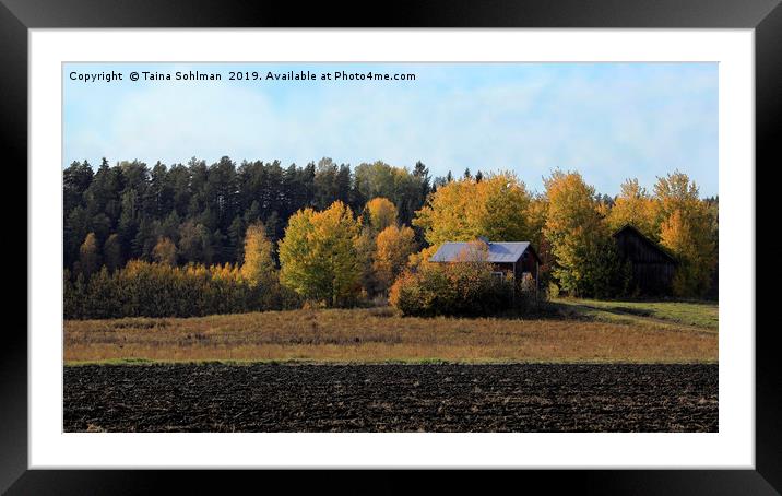 Autumn in the Country Framed Mounted Print by Taina Sohlman