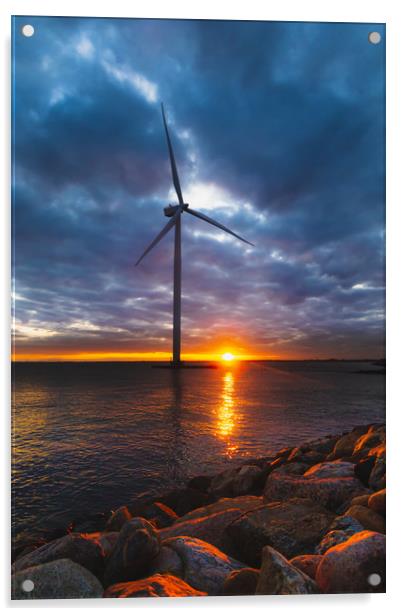 Windmill in Denmark in Baltic sea Acrylic by Dalius Baranauskas