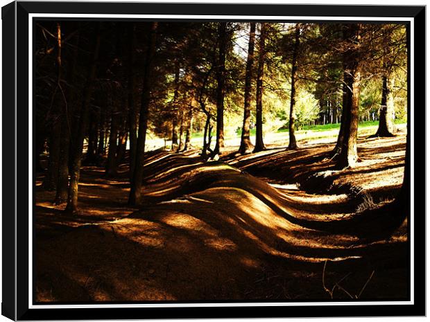 snake through the forest Canvas Print by Craig Coleran