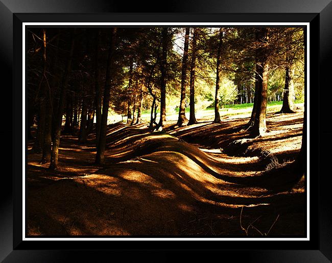 snake through the forest Framed Print by Craig Coleran