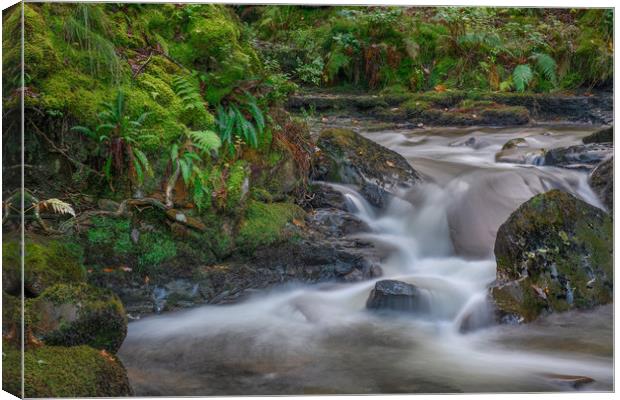 Small waterfall at Melincourt brook. Canvas Print by Bryn Morgan
