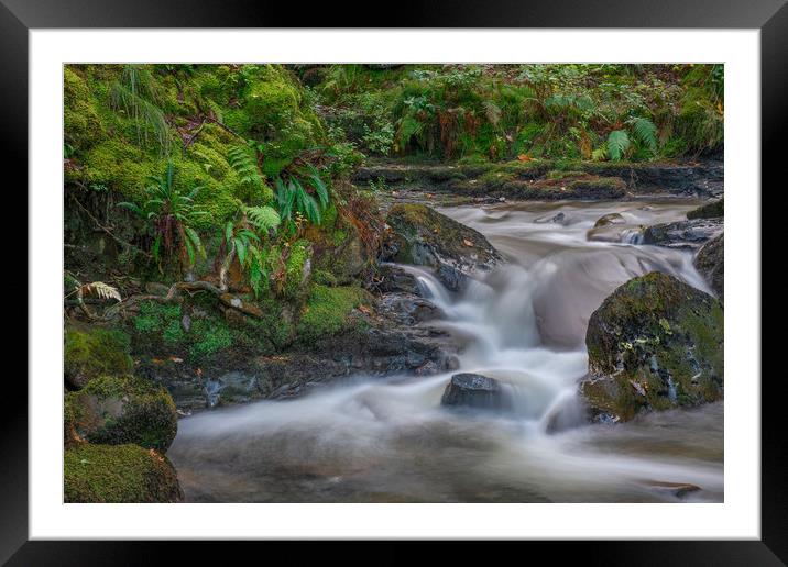 Small waterfall at Melincourt brook. Framed Mounted Print by Bryn Morgan