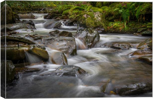 Small waterfall at Melincourt brook. Canvas Print by Bryn Morgan