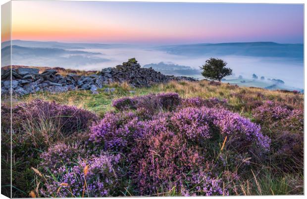 Purple Landscape of the Peak District Canvas Print by John Finney