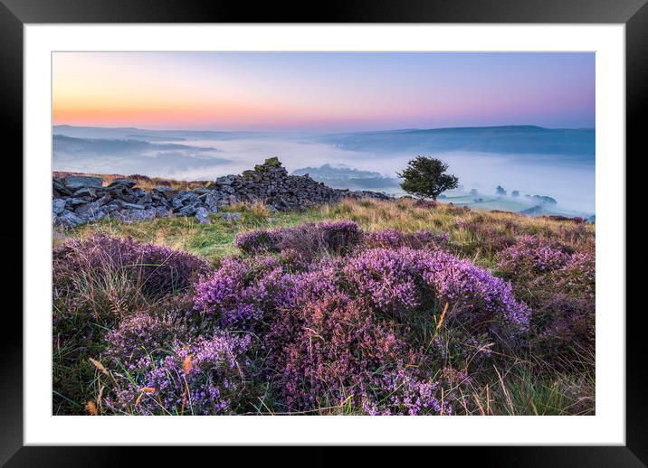 Purple Landscape of the Peak District Framed Mounted Print by John Finney
