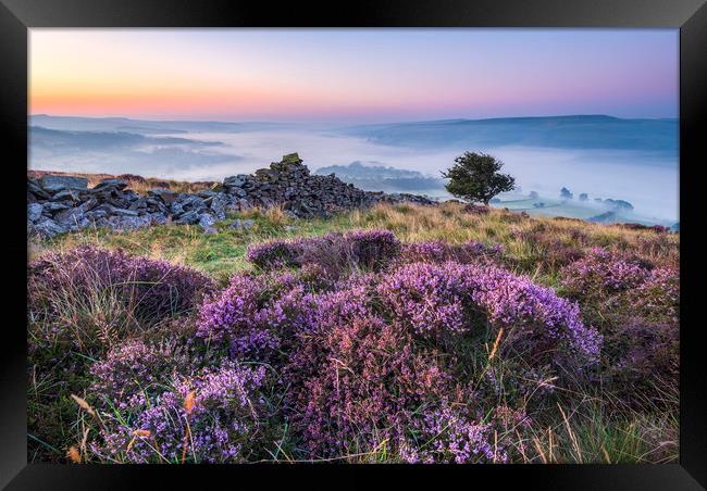 Purple Landscape of the Peak District Framed Print by John Finney